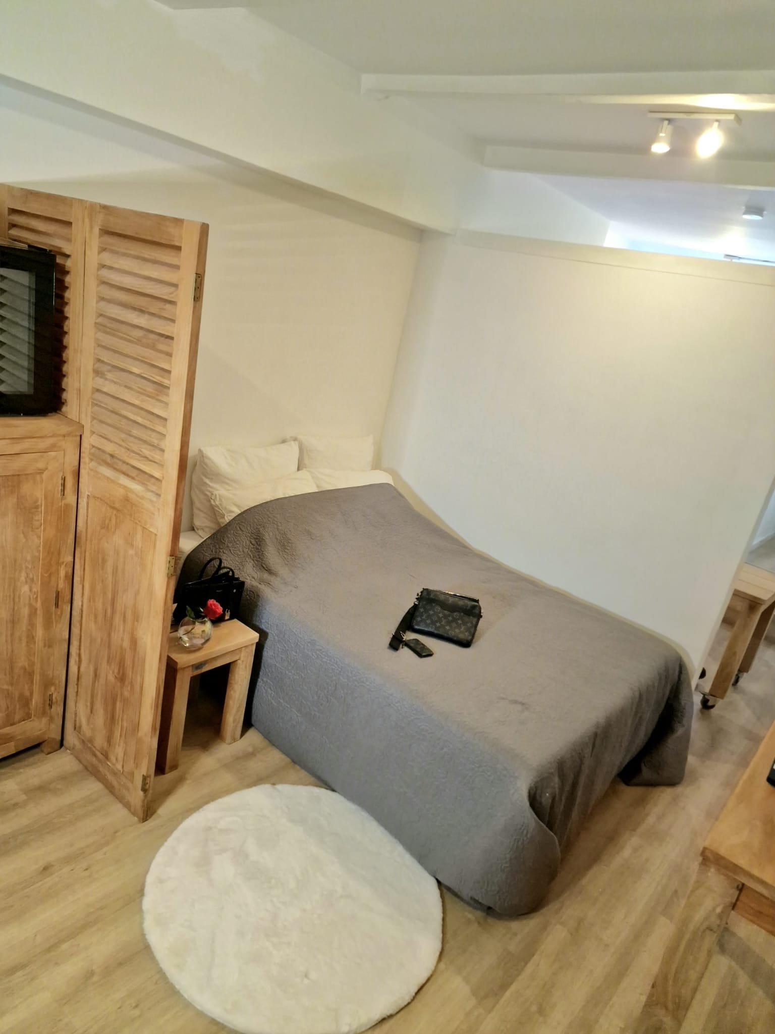 Use bitcoin or other cryptocurrencies to book and pay for apartments in Amsterdam, North Holland, Netherlands, picture 6